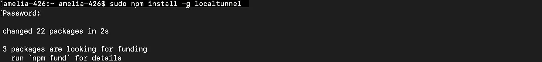catalyst_tunneling_localtunnel_install