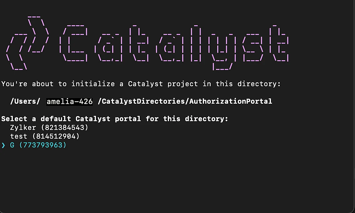 catalyst_authorization_portal_multiorg_choice