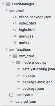 catalyst_leadmanager_proj_dir_struct_node