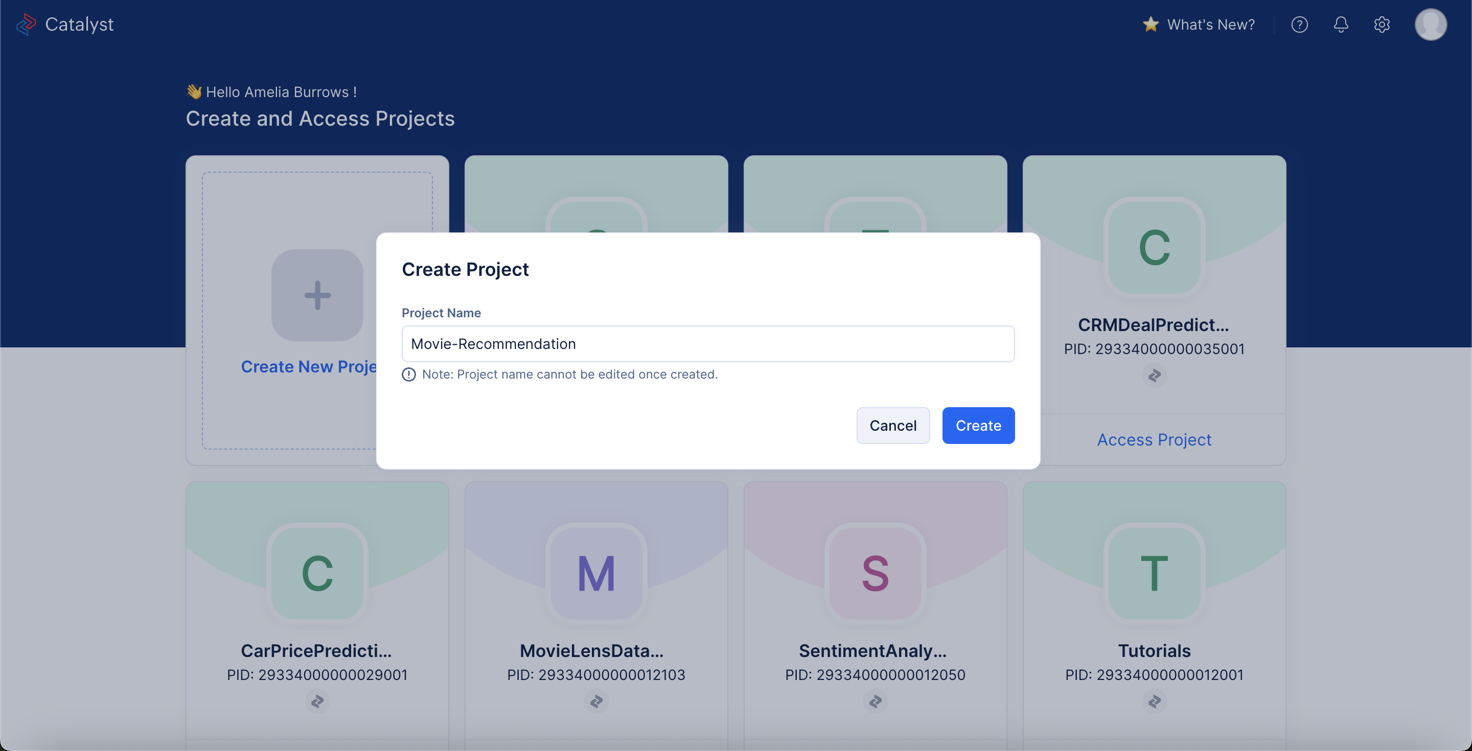 project-name