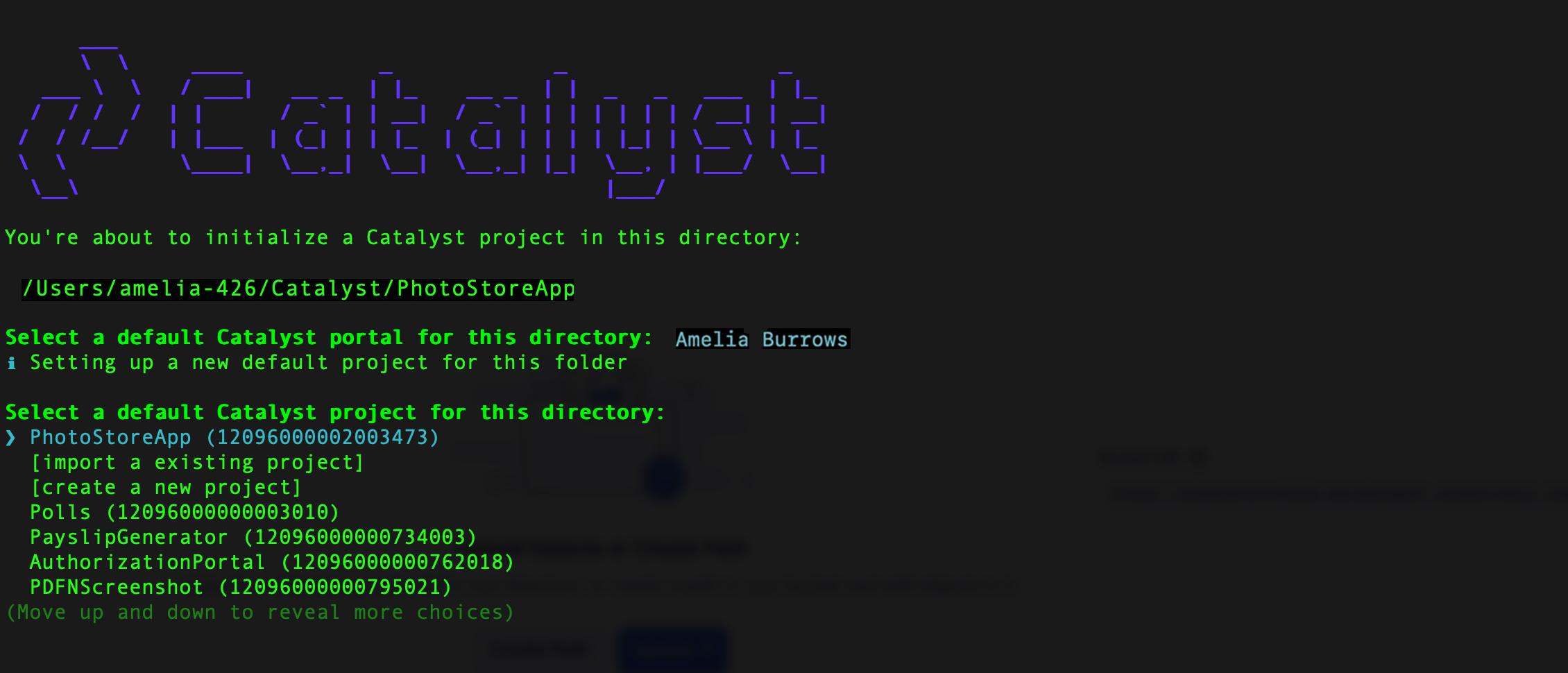 catalyst_tutorials_photostore_cli_proj_sel