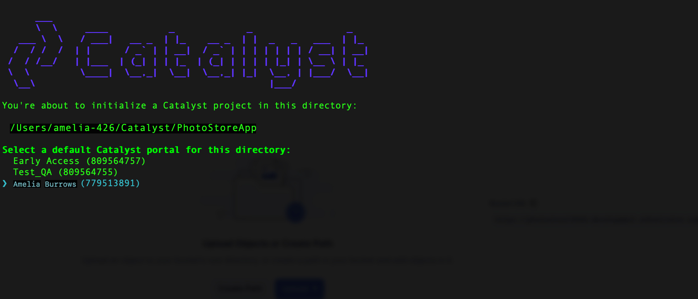 catalyst_tutorials_photostore_cli_project_init