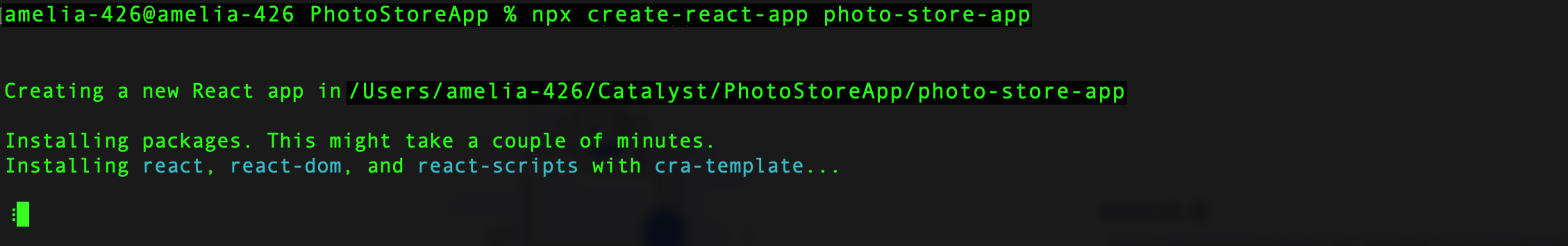 catalyst_tutorials_photostore_cli_react_app_start