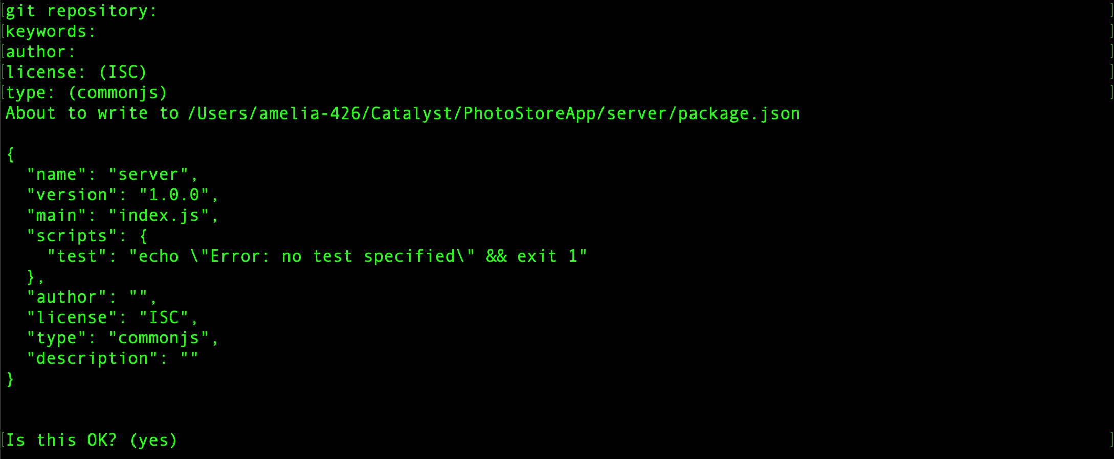 catalyst_tutorials_photostore_stratus_npm_start_appsail_npm_init