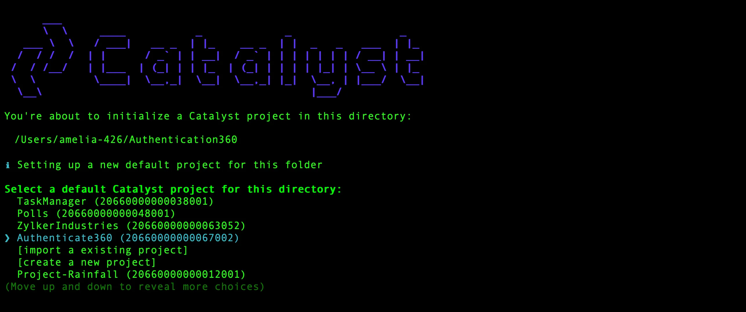 catalyst_tutorials_third_party_cli_init_proj