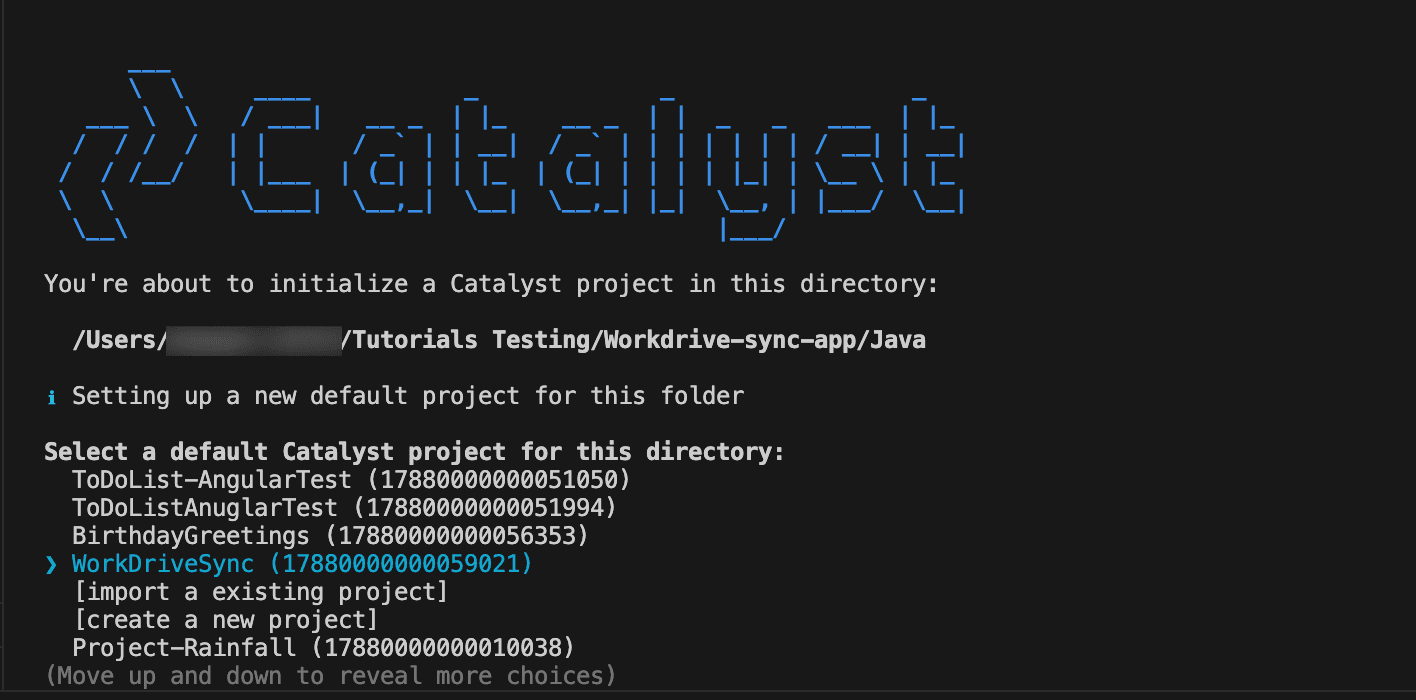 catalyst_workdrive_init_1